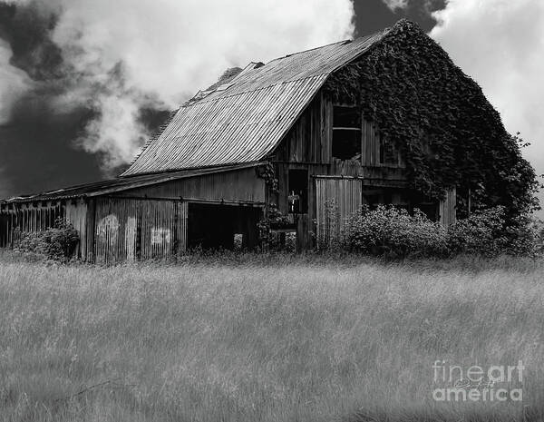 Barn Poster featuring the photograph Black White Barn by Elijah Knight