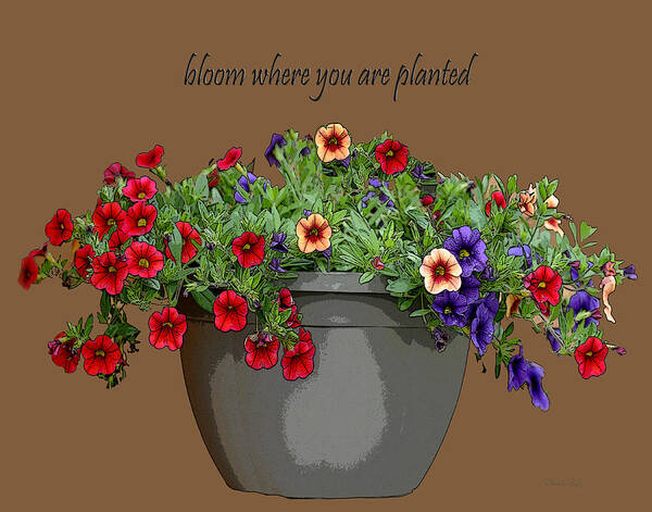 Diane Berry Poster featuring the drawing Bloom by Diane E Berry
