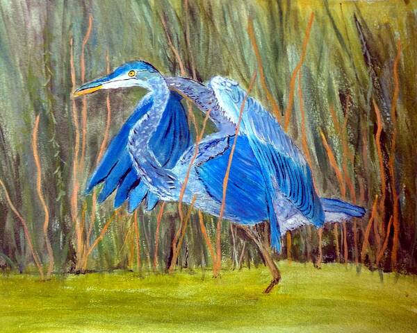 Blue Heron Poster featuring the painting Blue Heron in Viera Florida by Anne Sands