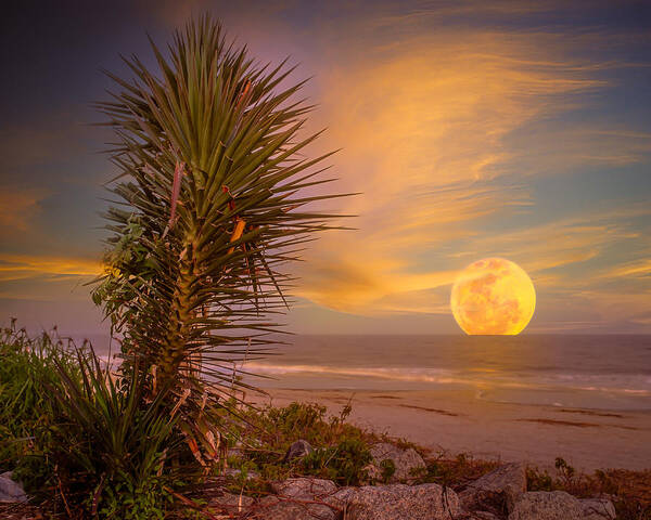 Landscape Poster featuring the photograph Blue Moon Rising on St. Simons by Chris Bordeleau