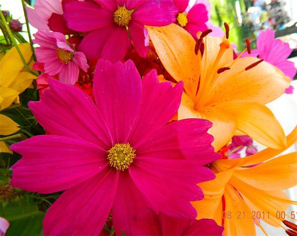 Bouquets Poster featuring the photograph Bouquet of Beauty by Randy Rosenberger