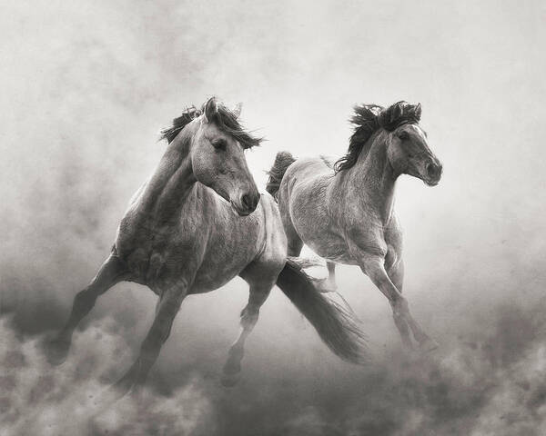 Horses Poster featuring the photograph Brothers of the Dust by Ron McGinnis