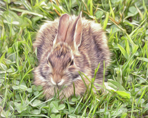 Bunny Poster featuring the photograph Bunny in the Clover by Kerri Farley