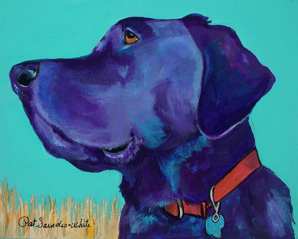 Black Labrador Poster featuring the painting Caige by Pat Saunders-White