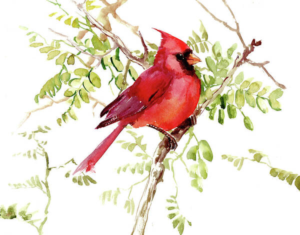 Bird Art Poster featuring the painting Cardinal Bird by Suren Nersisyan