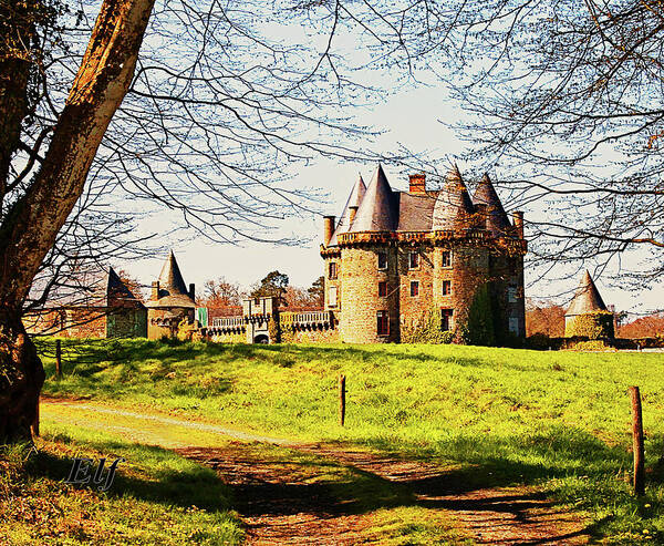 French Architecture Poster featuring the photograph Chateau de Landale by Elf EVANS