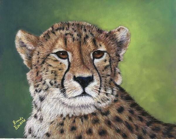 Animal Poster featuring the pastel Cheetah by Brenda Bonfield