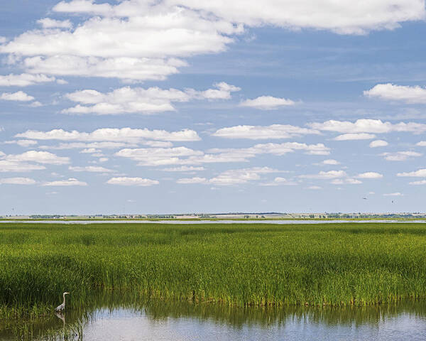 Kansas Poster featuring the photograph Cheyenne Bottoms by Rob Graham