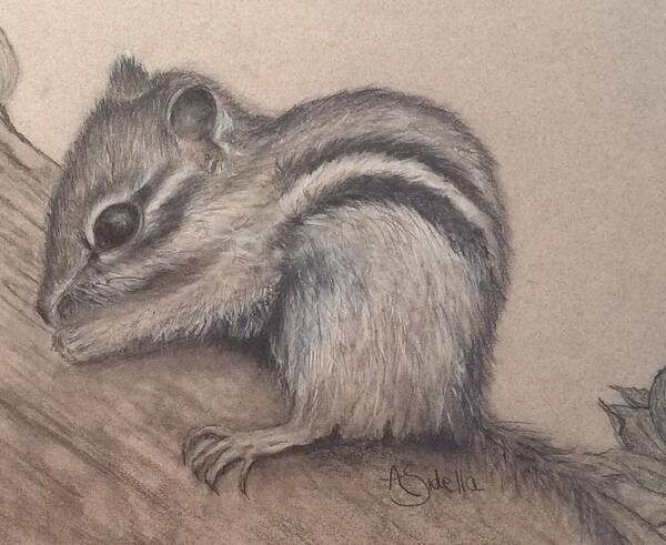 Tennessee Wildlife Poster featuring the drawing Chipmunk, TN Wildlife Series by Annamarie Sidella-Felts
