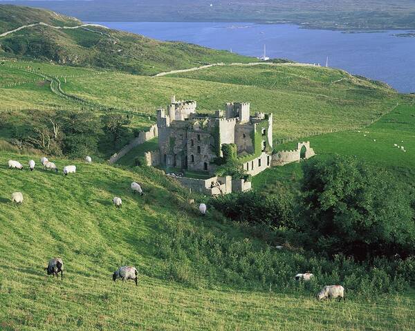 Architecture Poster featuring the photograph Clifden Castle, Co Galway, Ireland 19th by The Irish Image Collection 