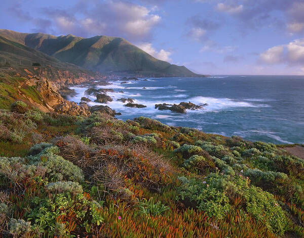 00176747 Poster featuring the photograph Cliffs And The Pacific Ocean Garrapata by Tim Fitzharris