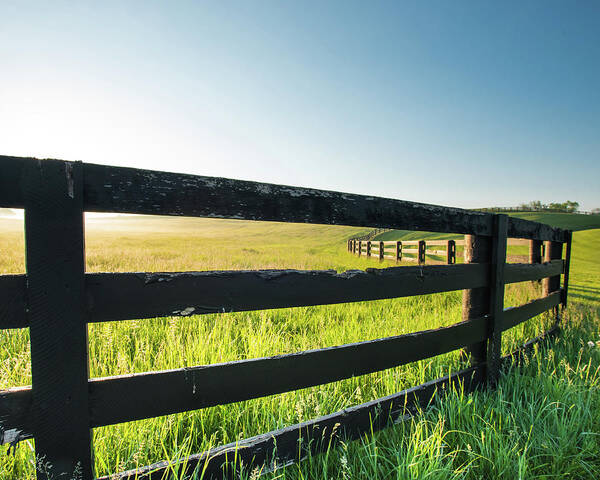 Black Poster featuring the photograph Close Up of Old Horse Fence by Kelly VanDellen