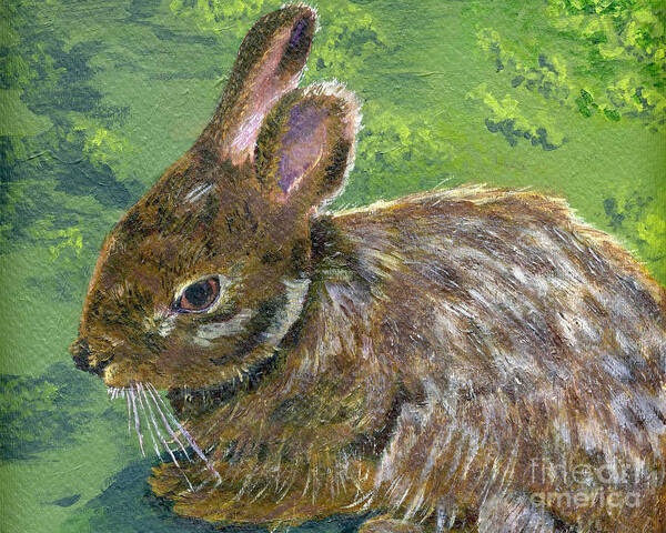Acrylic Poster featuring the painting Cottontail by Lynne Reichhart