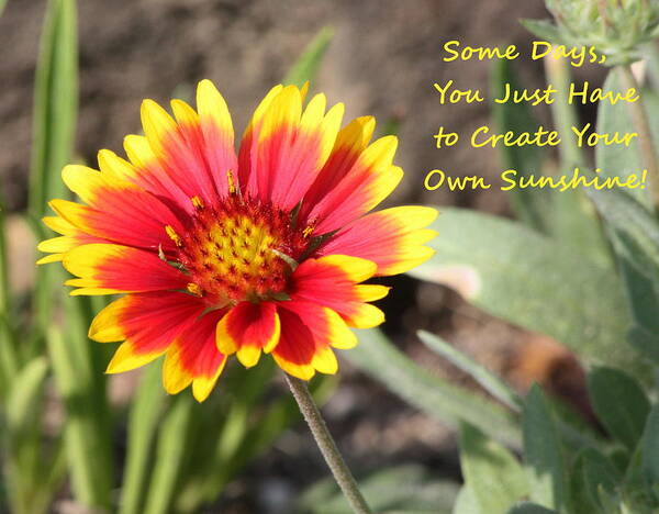 Nature Poster featuring the photograph Create Your Own Sunshine by Sheila Brown