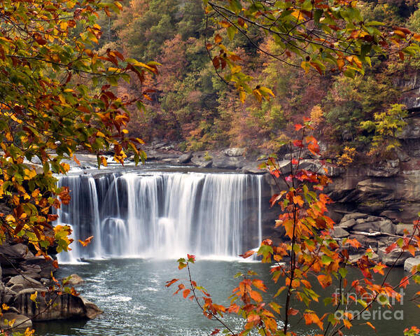 Waterfall Poster featuring the photograph Cumberland Falls two by Ken Frischkorn