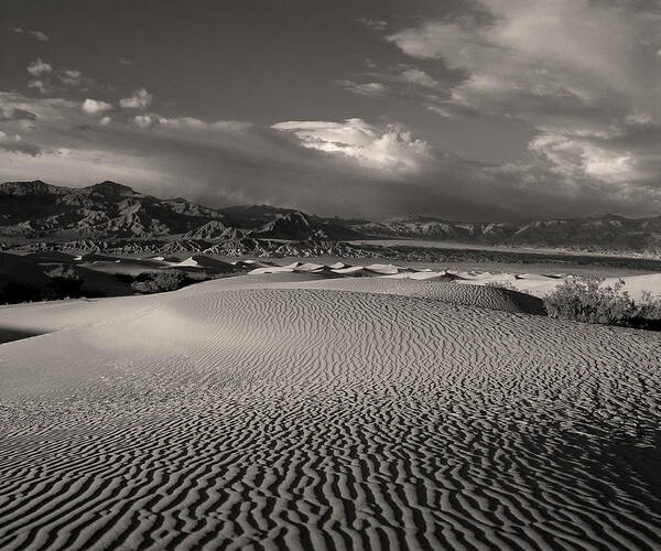 Desert Poster featuring the photograph Desert Dunes by Gary Cloud