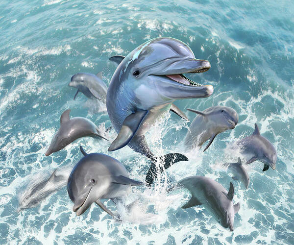 Dolphin Poster featuring the digital art Dolphin Jump by Jerry LoFaro