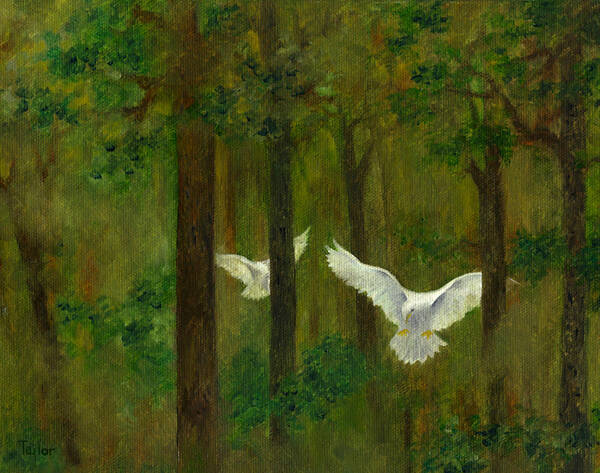 Dove Poster featuring the painting Doves in the Wood by FT McKinstry