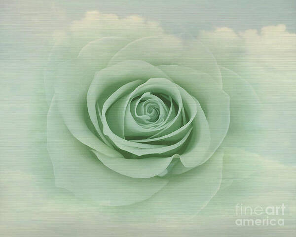Dreamy Poster featuring the painting Dreamy Vintage Floating Rose by Judy Palkimas