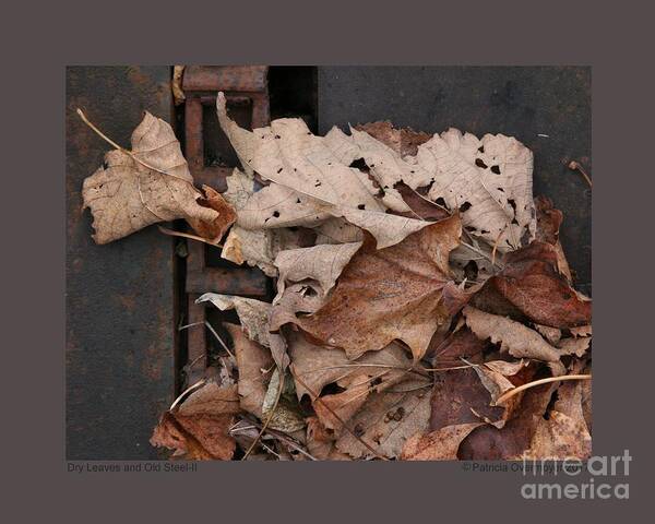 Abstract Poster featuring the photograph Dry Leaves and Old Steel-II by Patricia Overmoyer