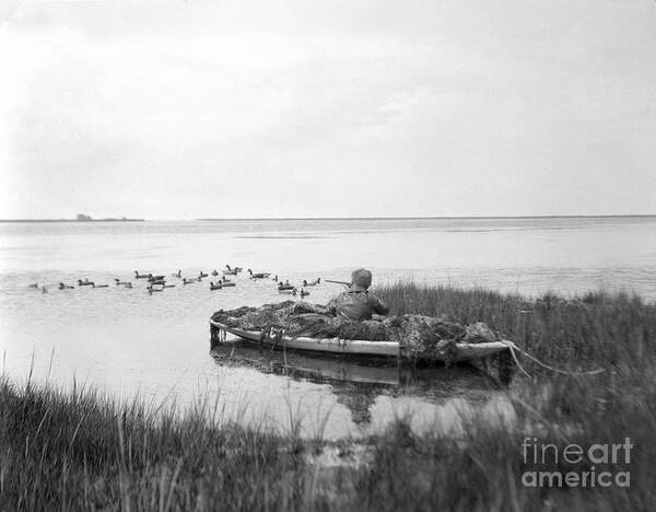 1920s Poster featuring the photograph Duck Hunting, C.1920s by H. Armstrong Roberts/ClassicStock