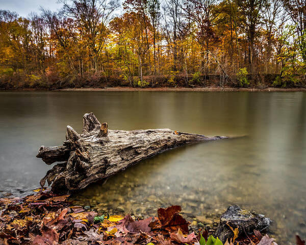 Autumn Poster featuring the photograph Eagle Creek Park by Ron Pate