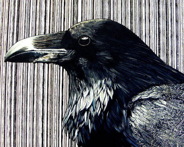 Raven Poster featuring the mixed media Edgar by Jacqueline Bevan