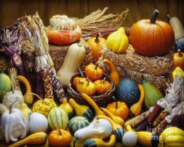 Harvest Poster featuring the photograph Fall Harvest by Martin Konopacki