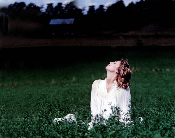 Woman Poster featuring the photograph Field Of Dreams by DArcy Evans