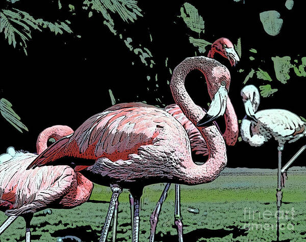 Pink Poster featuring the photograph Flamingos I by Jim And Emily Bush