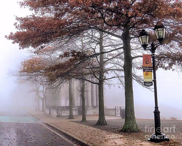 Fog Poster featuring the photograph Foggy Fall Morning by Janice Drew