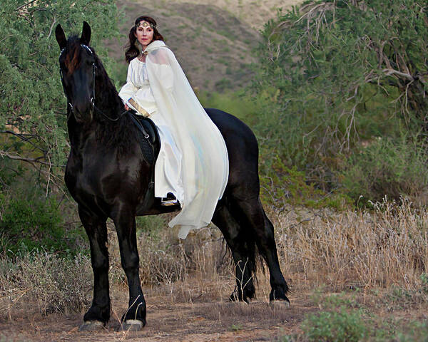 Friesian Poster featuring the photograph Galant by Jean Hildebrant