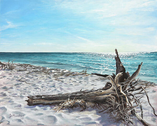 Seascape Poster featuring the painting Gnarled Drift Wood by Joe Mandrick