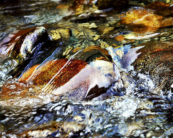 Water Poster featuring the photograph Golden Splash by Marion McCristall