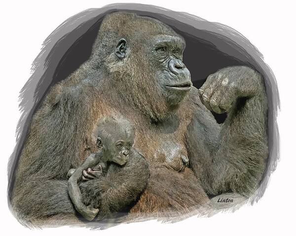 Gorilla Poster featuring the digital art Gorilla Motherhood by Larry Linton