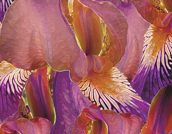 Flower Poster featuring the digital art Gossameera 8 by Lynda Lehmann