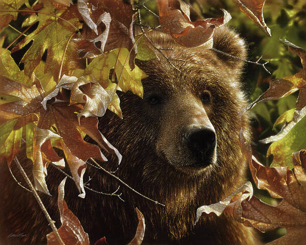 Bear Painting Poster featuring the painting Grizzly Bear - Legend of the Fall by Collin Bogle