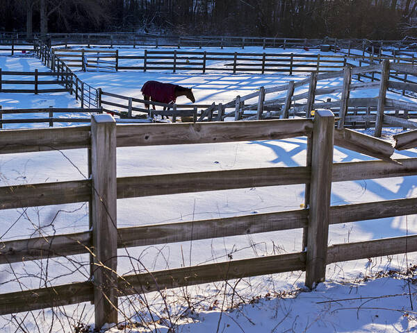 Hamilton Poster featuring the photograph Hamilton MA Equestrian Farm Blanket of Winter Snow Fences by Toby McGuire