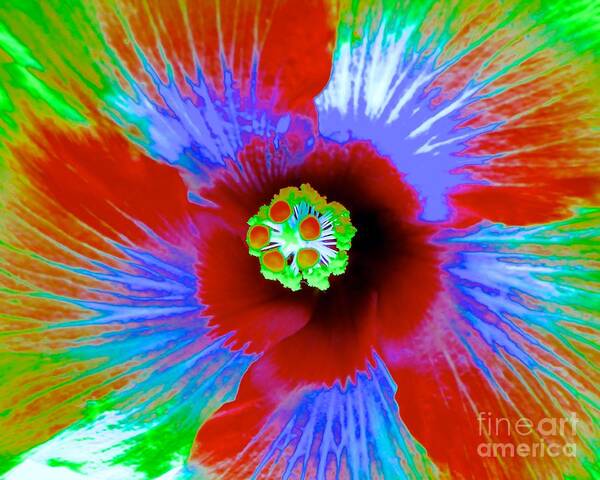 Hibiscus Poster featuring the photograph Hibiscus Abstract by Jean Wright