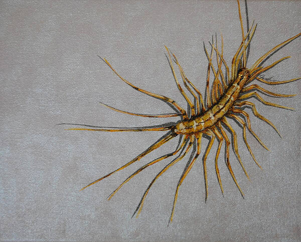 Centipede Poster featuring the painting House Centipede by Jude Labuszewski
