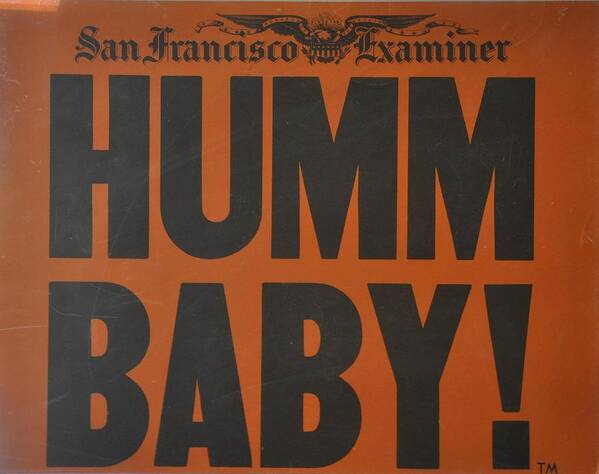 Newspaper Poster featuring the photograph Humm Baby Examiner by Jay Milo
