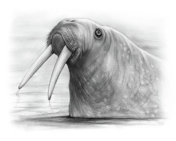 Walrus Poster featuring the drawing I am the Walrus by Greg Joens