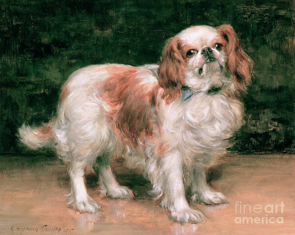 King Charles Spaniel Poster featuring the painting King Charles Spaniel by George Sheridan Knowles