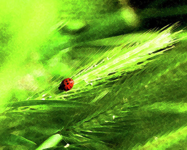 Ladybug Poster featuring the digital art Ladybug by Timothy Bulone