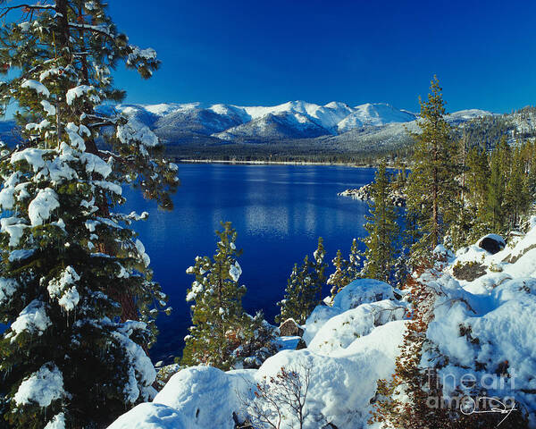 Lake Tahoe Poster featuring the photograph Lake Tahoe Winter by Vance Fox