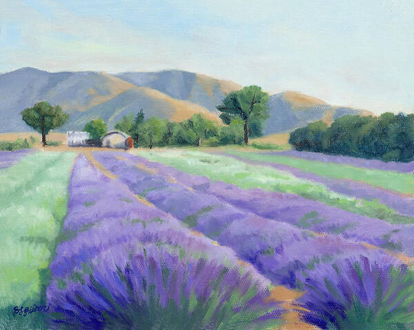 California Landscape Poster featuring the painting Lavender Lines by Sandy Fisher