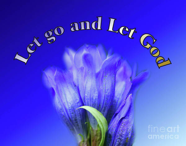Let Go And Let God Poster featuring the photograph Let Go Inspirational Blue Gentian Flower by Smilin Eyes Treasures