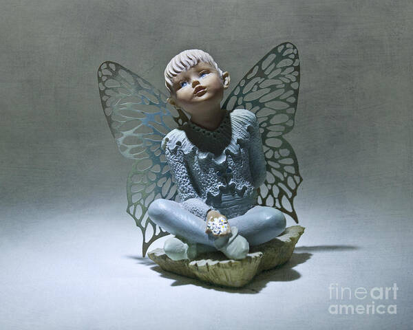 Fairy Poster featuring the photograph Little Boy Blue Fairy by Terri Waters