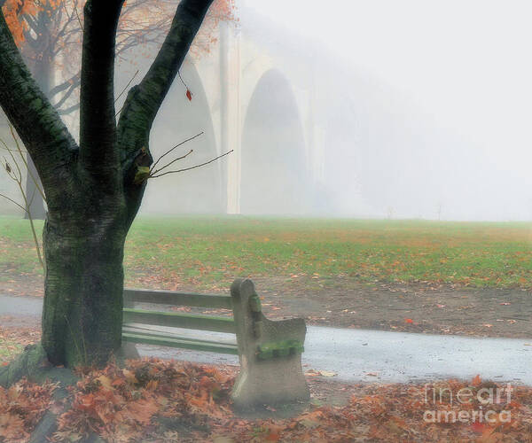 Fog Poster featuring the photograph Lost In A Fog by Geoff Crego