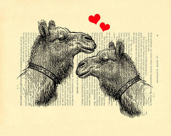 Camel Poster featuring the digital art Love camels by Madame Memento